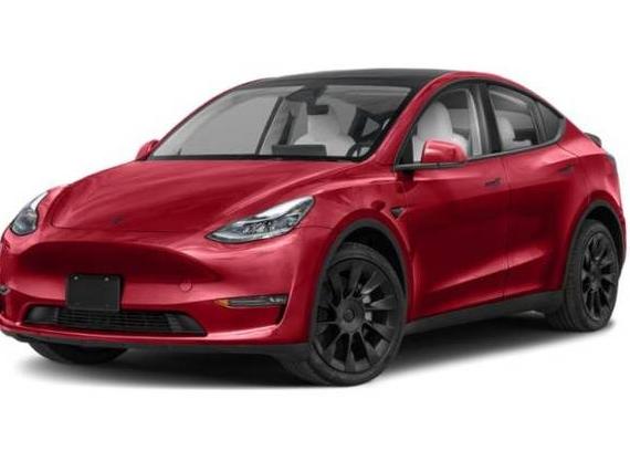 TESLA MODEL Y 2024 7SAYGDED1RF213445 image